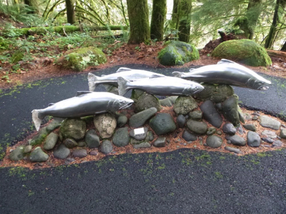 Tactile metal sculpture of salmon on Cascade Streamwatch Trail – large rocks at base – paved surface